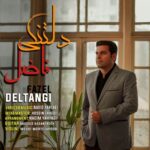 دانلود آهنگ فاضل دلتنگی